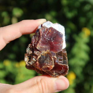 Vanadinit - Natürliche Kristallstufe aus Marokko 6x4,5x4,5cm - 0,22kg Nr.42 in einer Hand halten.