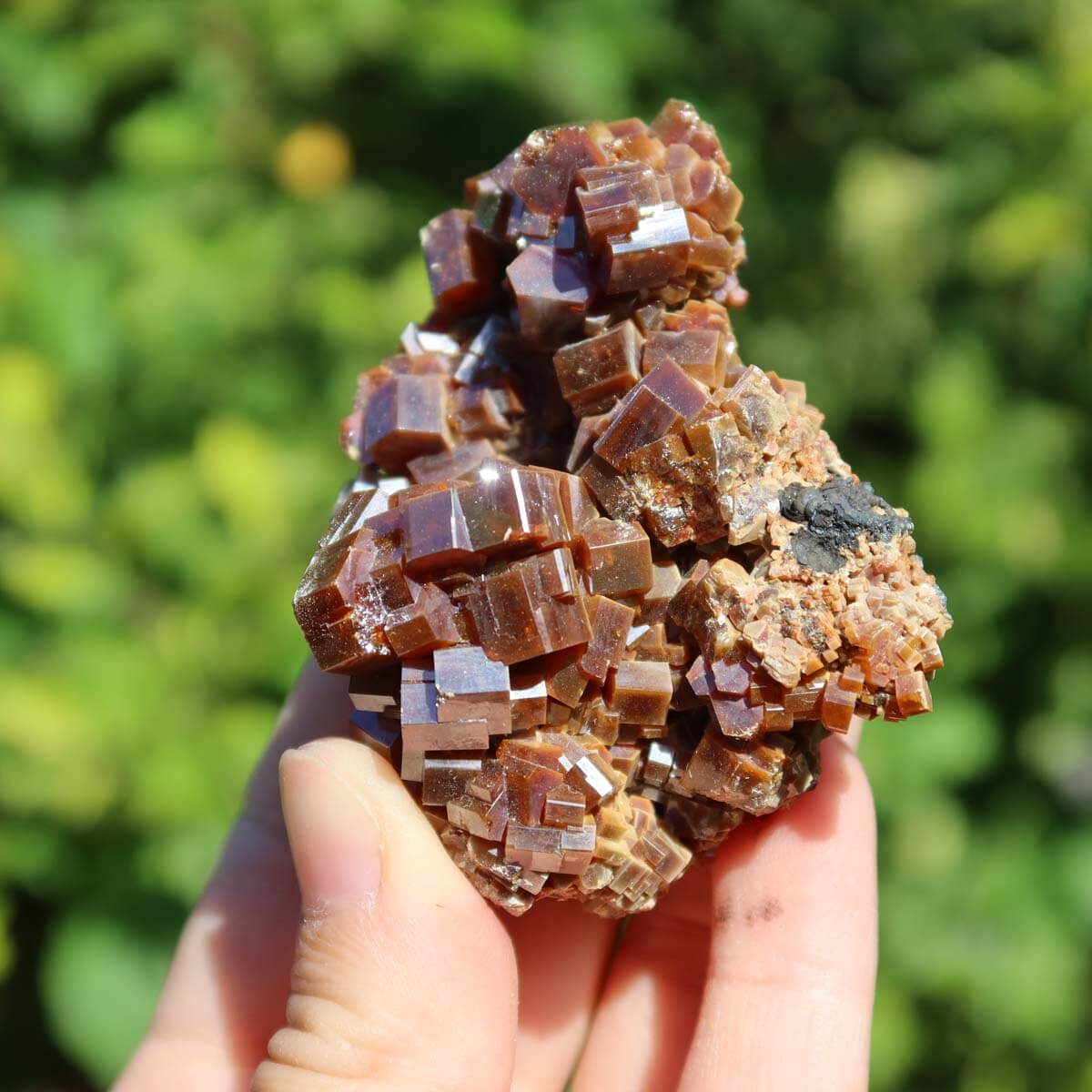 Vanadinit - Natürliche Kristallstufe aus Marokko 6x5x3,5cm - 0,15kg Nr.37 in der Hand gehalten.