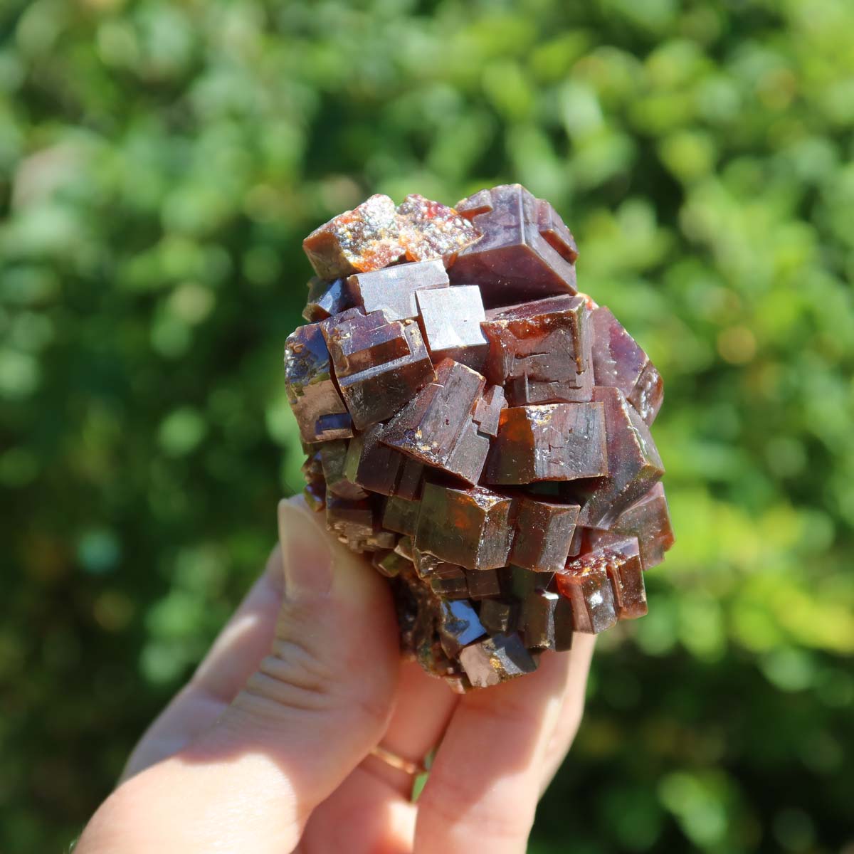 Vanadinit - Natürliche Kristallstufe aus Marokko 6x5x4cm - 0,26kg Nr.22 in der Hand mit grüner Natur im Hintergrund