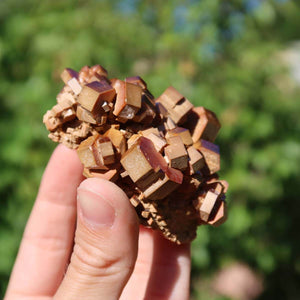 Vanadinit - Natürliche Kristallstufe aus Marokko 7x6x4cm - 0,2kg Nr.35 in der Hand, mit leuchtenden roten Kristallen.