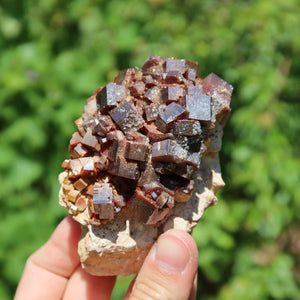 Vanadinit - Natürliche Kristallstufe aus Marokko 8x5x5cm - 0,32kg Nr.24 in Hand gehalten vor grünem Hintergrund.