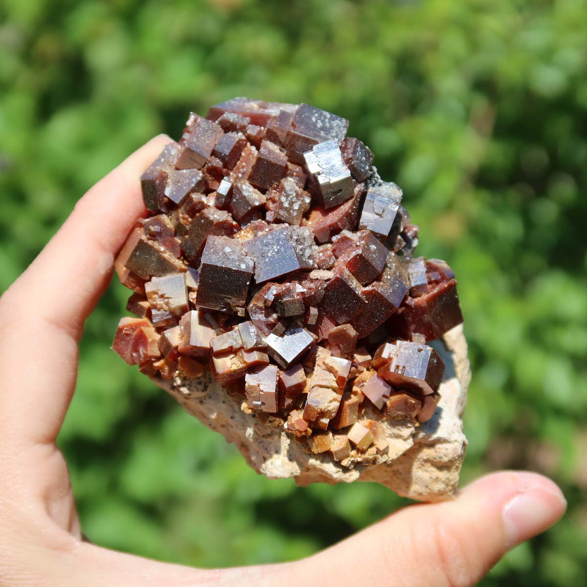 Vanadinit - Natürliche Kristallstufe aus Marokko 8x5x5cm - 0,32kg Nr.24 in Hand gehalten, leuchtende Kristalle.