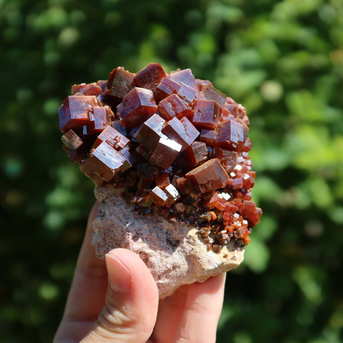 Vanadinit - Natürliche Kristallstufe aus Marokko 8x7x5cm - 0,35kg Nr.25 in Hand gehalten mit grünem Hintergrund.