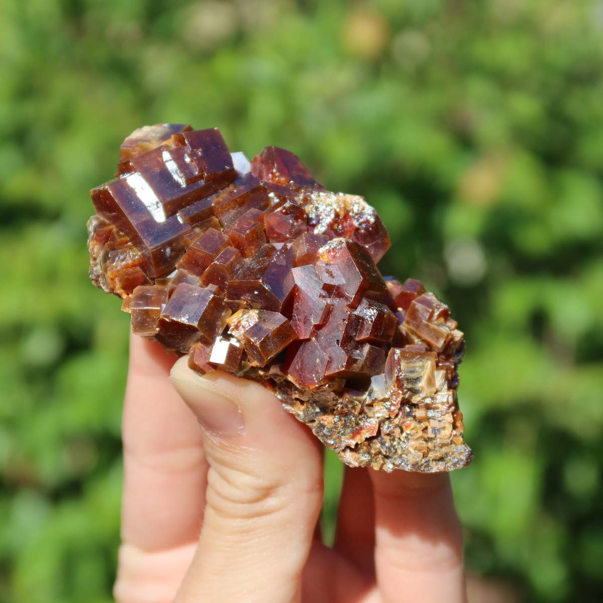 Vanadinit - Natürliche Kristallstufe aus Marokko 7x4x3cm - 0,17kg Nr.31 in Hand, leuchtende rote Kristalle, Mibladen.