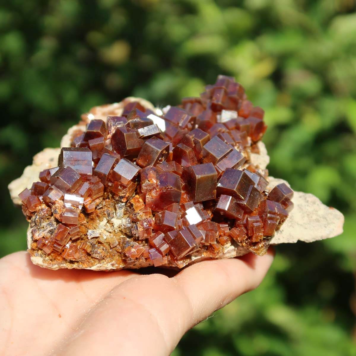 Vanadinit - Natürliche Kristallstufe aus Marokko 10x8x5cm - 0,54kg Nr.97 in einer Hand gehalten.