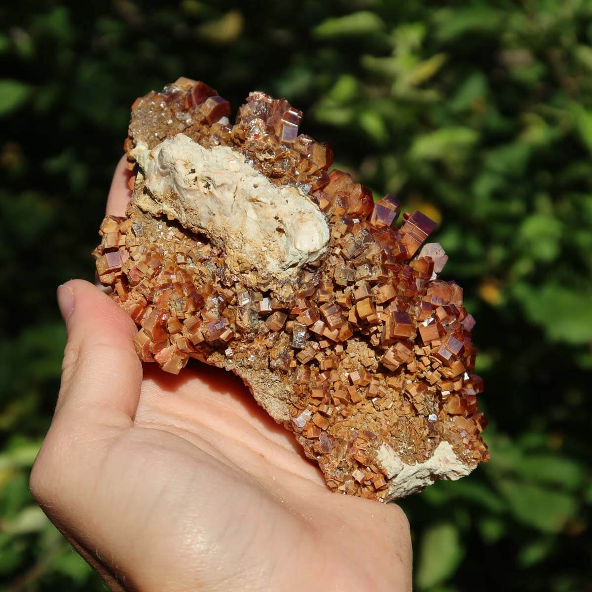 Vanadinit - Natürliche Kristallstufe aus Marokko 12x7x5cm - 0,62kg Nr.96 in Hand, leuchtende rot- bis orangefarbene Kristalle.