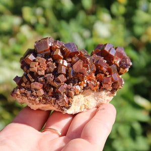 Vanadinit - Natürliche Kristallstufe aus Marokko 8x5x5cm - 0,32kg Nr.39 in einer Hand, leuchtend rot-orange.