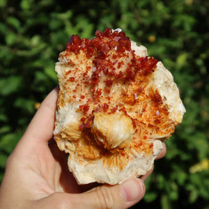Vanadinit auf Baryt - Natürliche Kristallstufe aus Marokko 9,5x7x5cm - 0,56kg Nr.72 in der Hand gehalten.