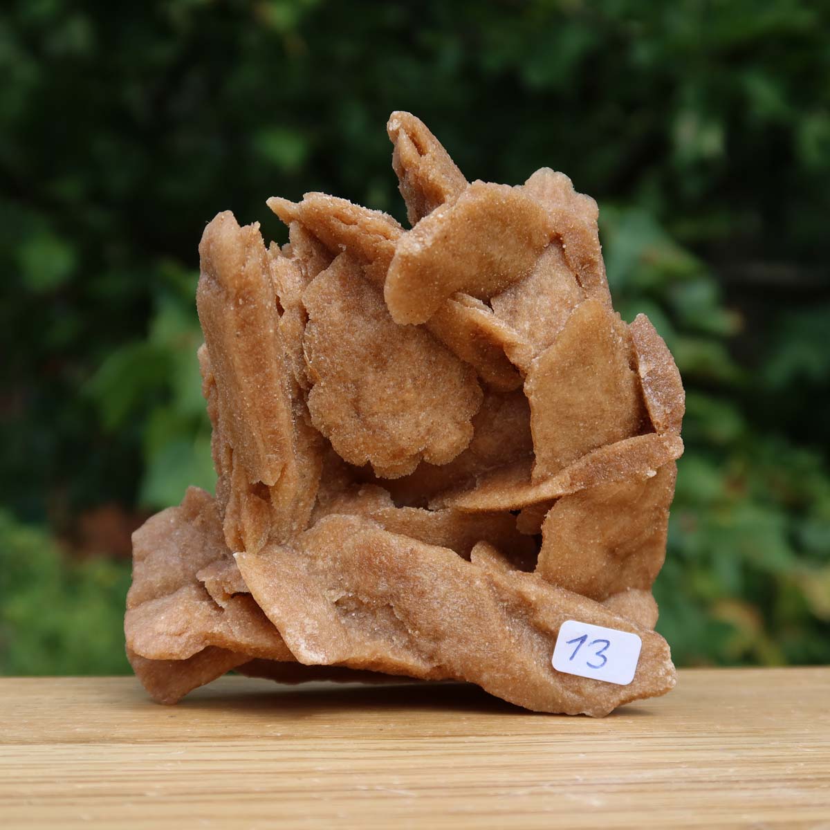 Wunderschöne Sandrose / Wüstenrose -10x9x4cm – Exklusive Stücke für Sammler und Liebhaber Unikat Nr.13