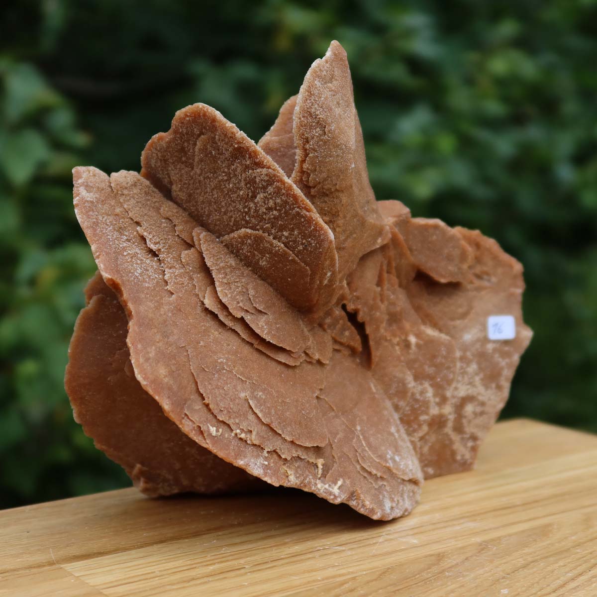 Wunderschöne Sandrose / Wüstenrose - 19x9x15 cm – Exklusive Stücke für Sammler und Liebhaber Unikat Nr.16