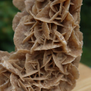 Wunderschöne Sandrose / Wüstenrose - 14x8x9 cm – Exklusive Stücke für Sammler und Liebhaber Unikat Nr.20