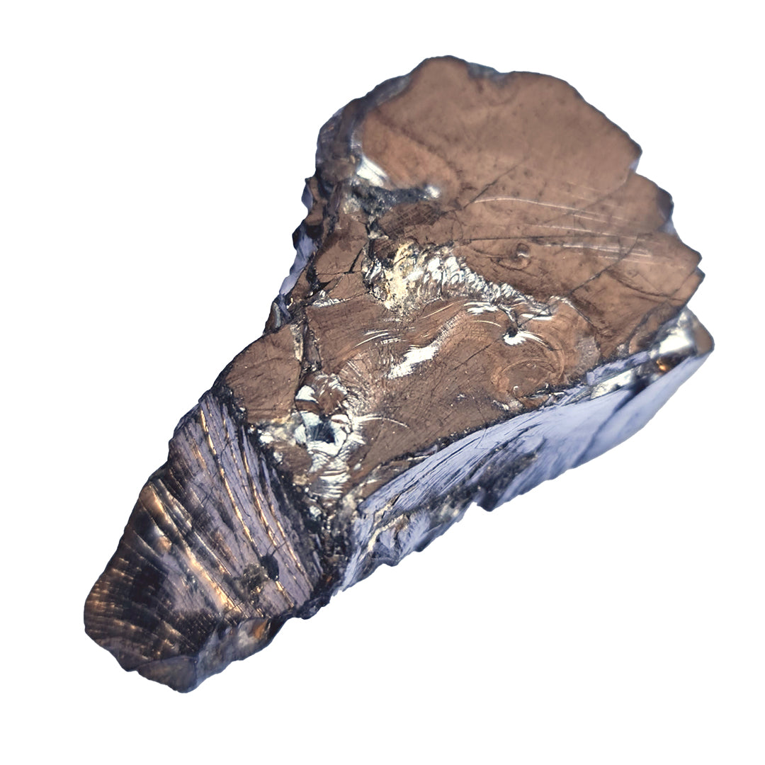 Schungit Edel von Steinwelten