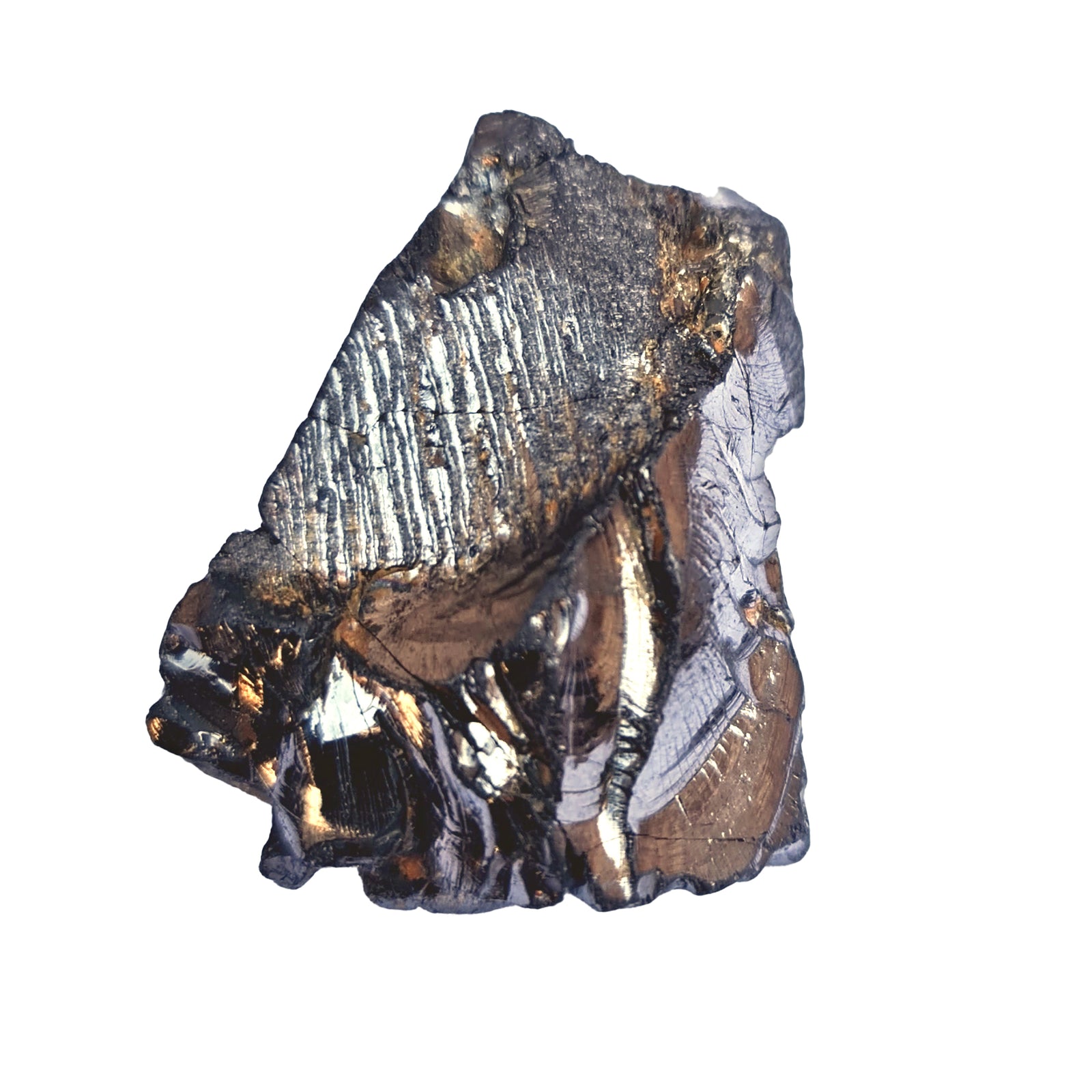 Edelschungit von Steinwelten