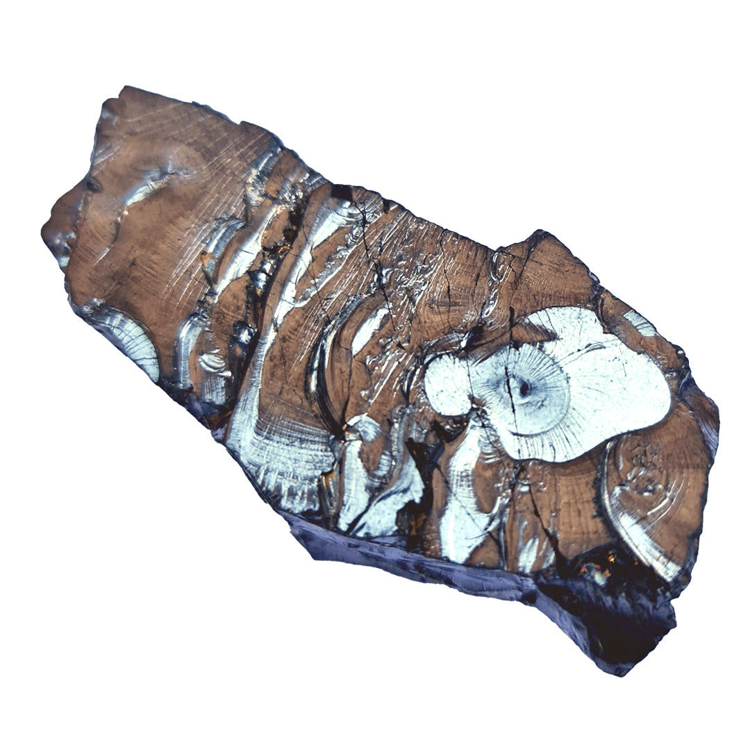 Schungit edel von Steinwelten